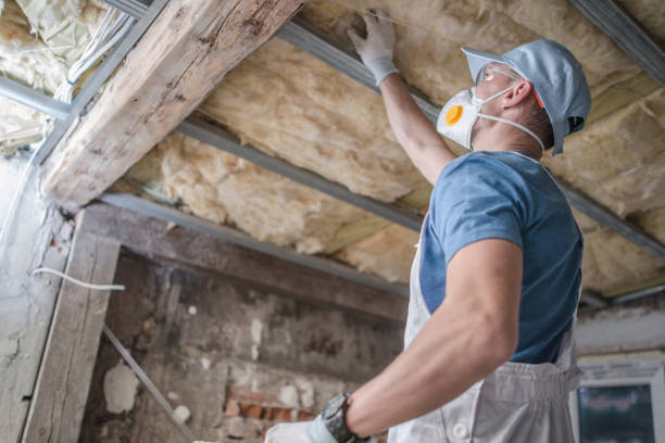 Best Specialized Insulation Services in Eveleth, MN