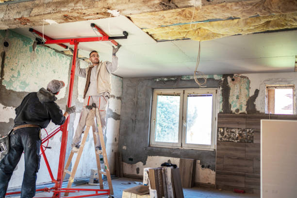 Best Insulation Maintenance and Repair in Eveleth, MN
